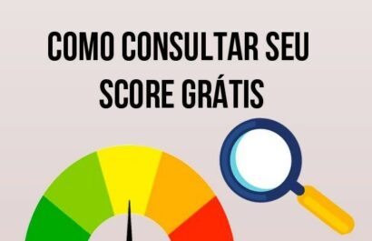 Serasa Score | Aprenda a Consultar Grátis e Online!
